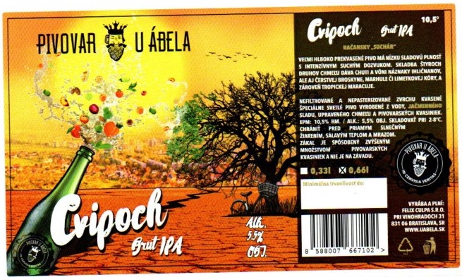 Cvipoch 2