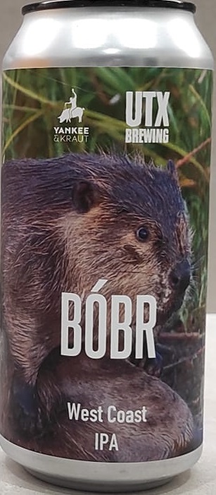 Bobr