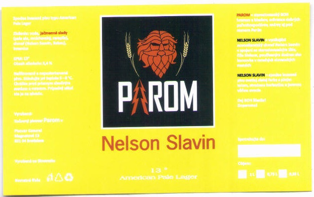 Nelson Slavin 1